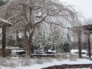 Snow in our display