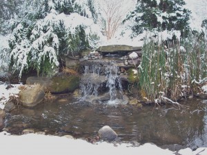 Water falls and pond