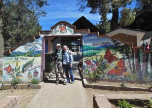 butterfly sanctuary in Mexico