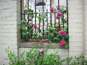 Garden fence