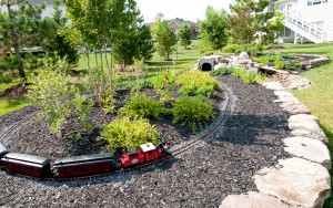 Train in the Landscape