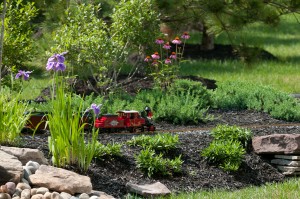 train, iris and cone flower Landscape design in prince william county