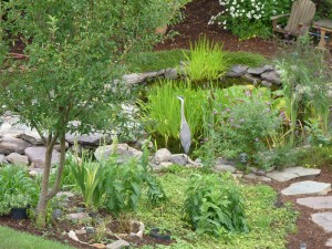 Fieldstone boulders