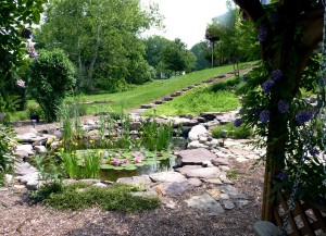 Boulder water feature