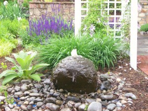 landscape, water feature