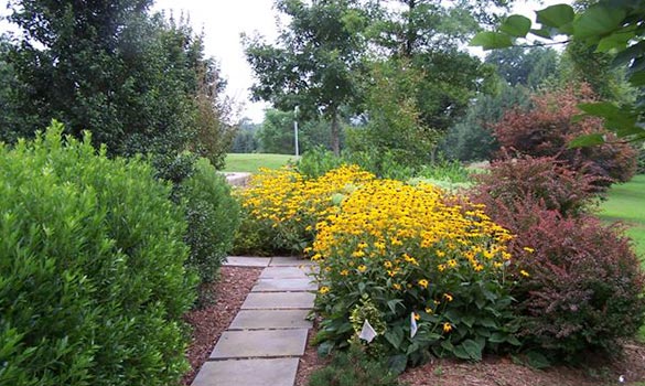 Landscape Design Ashburn VA