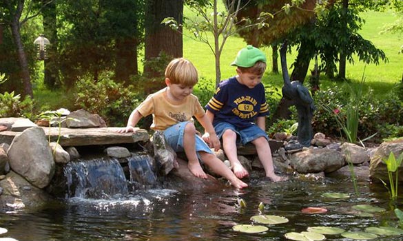 Water Features